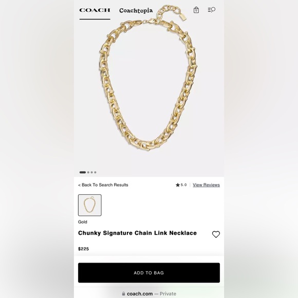 COACH Chunky Signature Chain Link Necklace ✨ ✨ - Picture 9 of 9